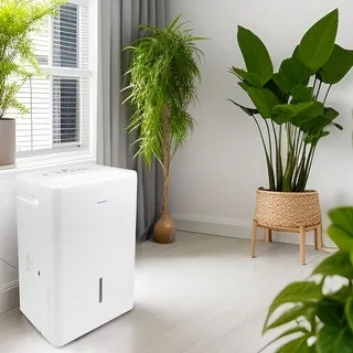 can a dehumidifier help dry a bathroom ceiling