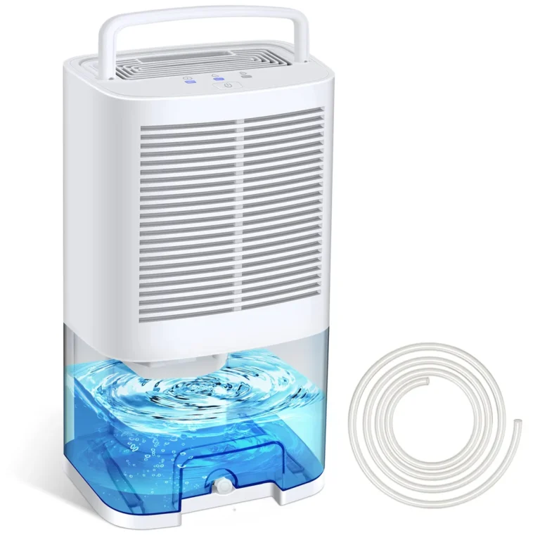 can a dehumidifier remove basement odors