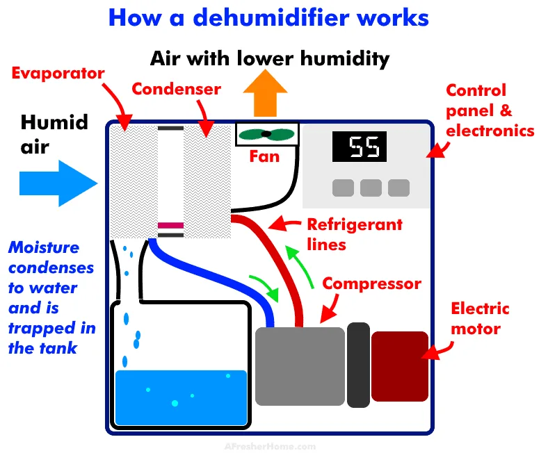 condensate pan