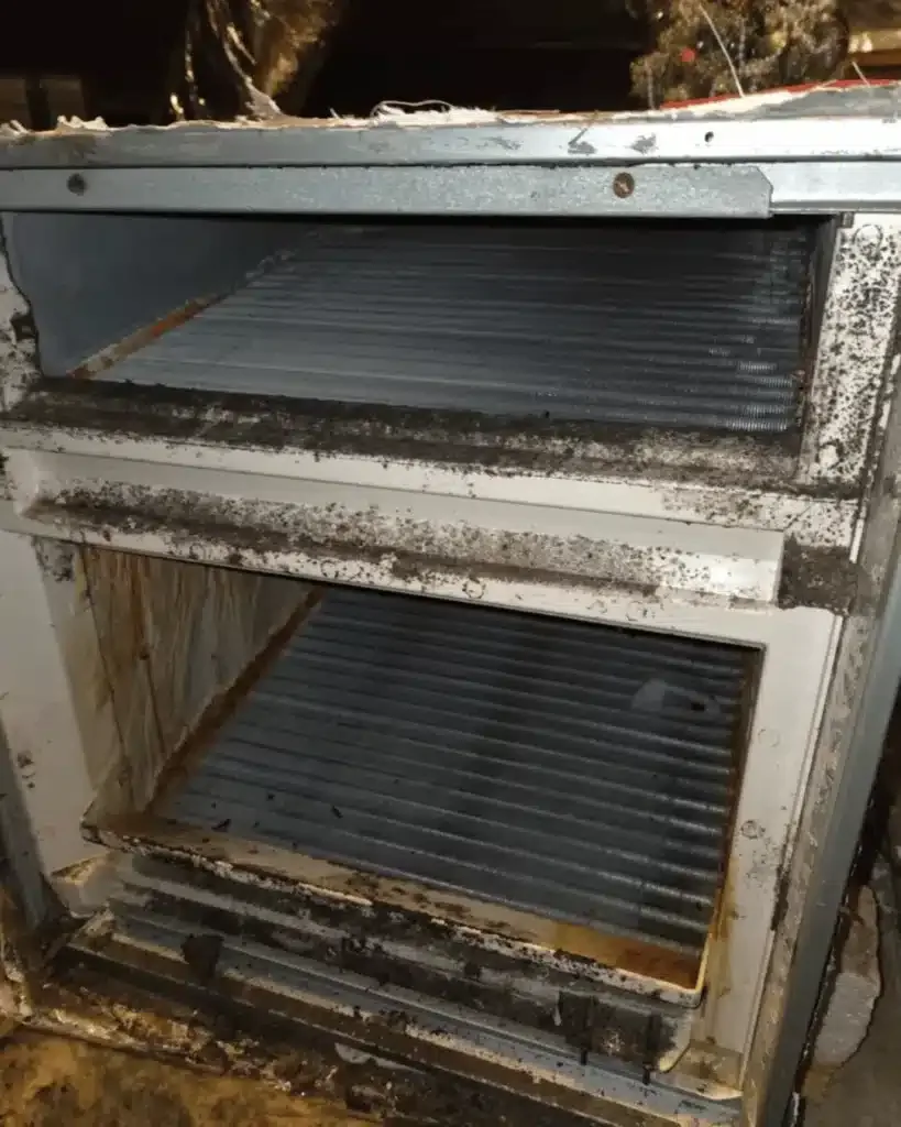 dehumidifier coil cleaning