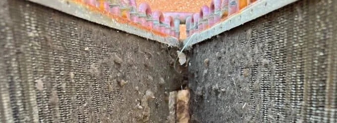dehumidifier evaporator coils cleaning