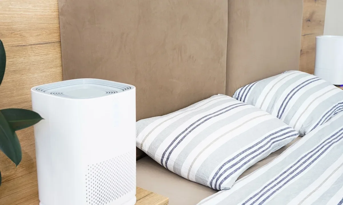 dehumidifier near bed placement
