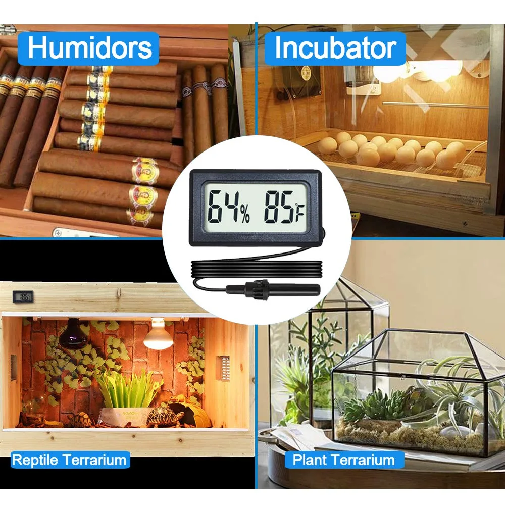 digital hygrometer in terrarium