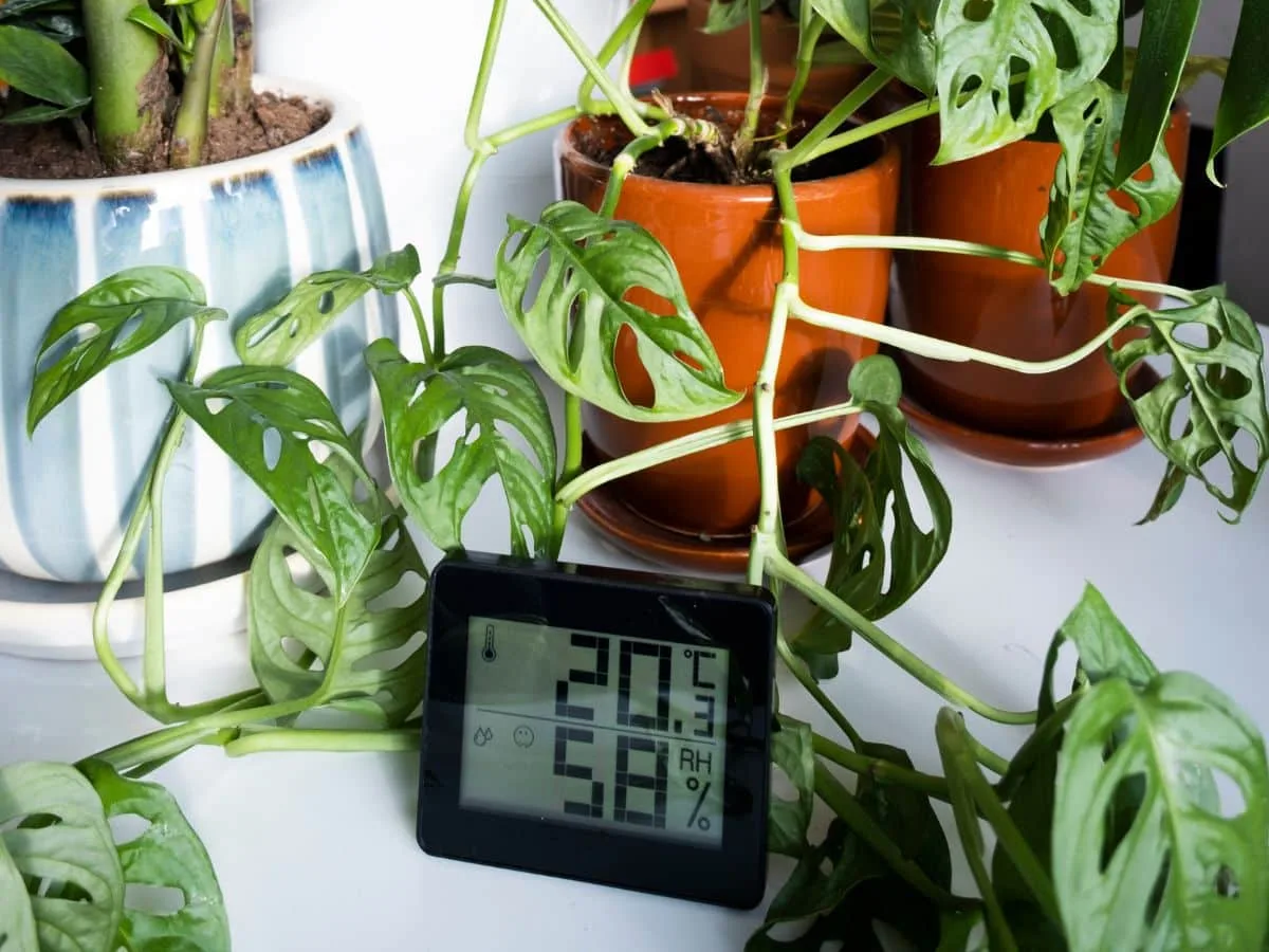 do I need a hygrometer for plants