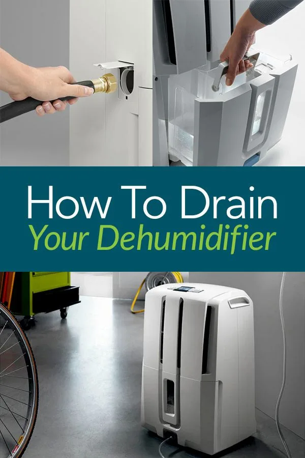 does a dehumidifier help with mildew