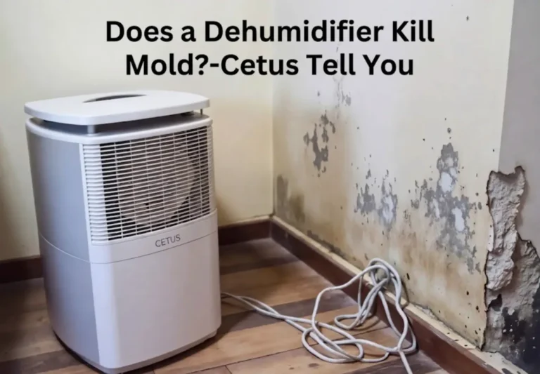 does a dehumidifier remove mold