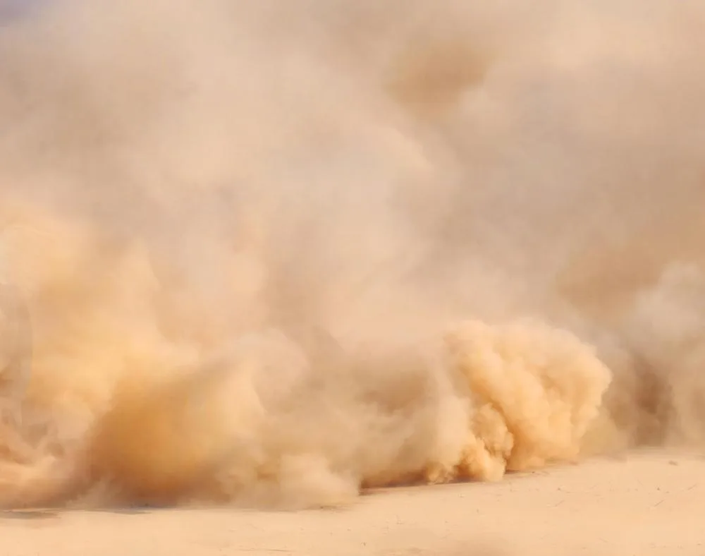 dust mite allergen