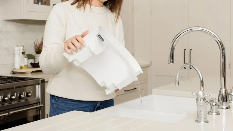 how to empty a dehumidifier water tank