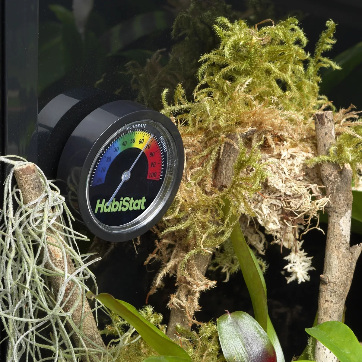 hygrometer placement reptile enclosure