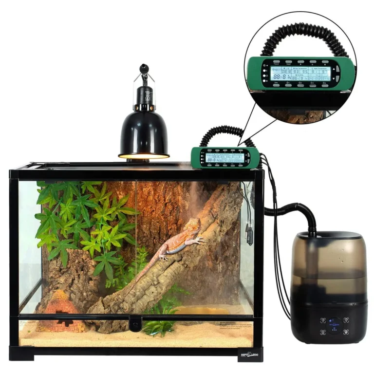 should a reptile enclosure have a hygrometer