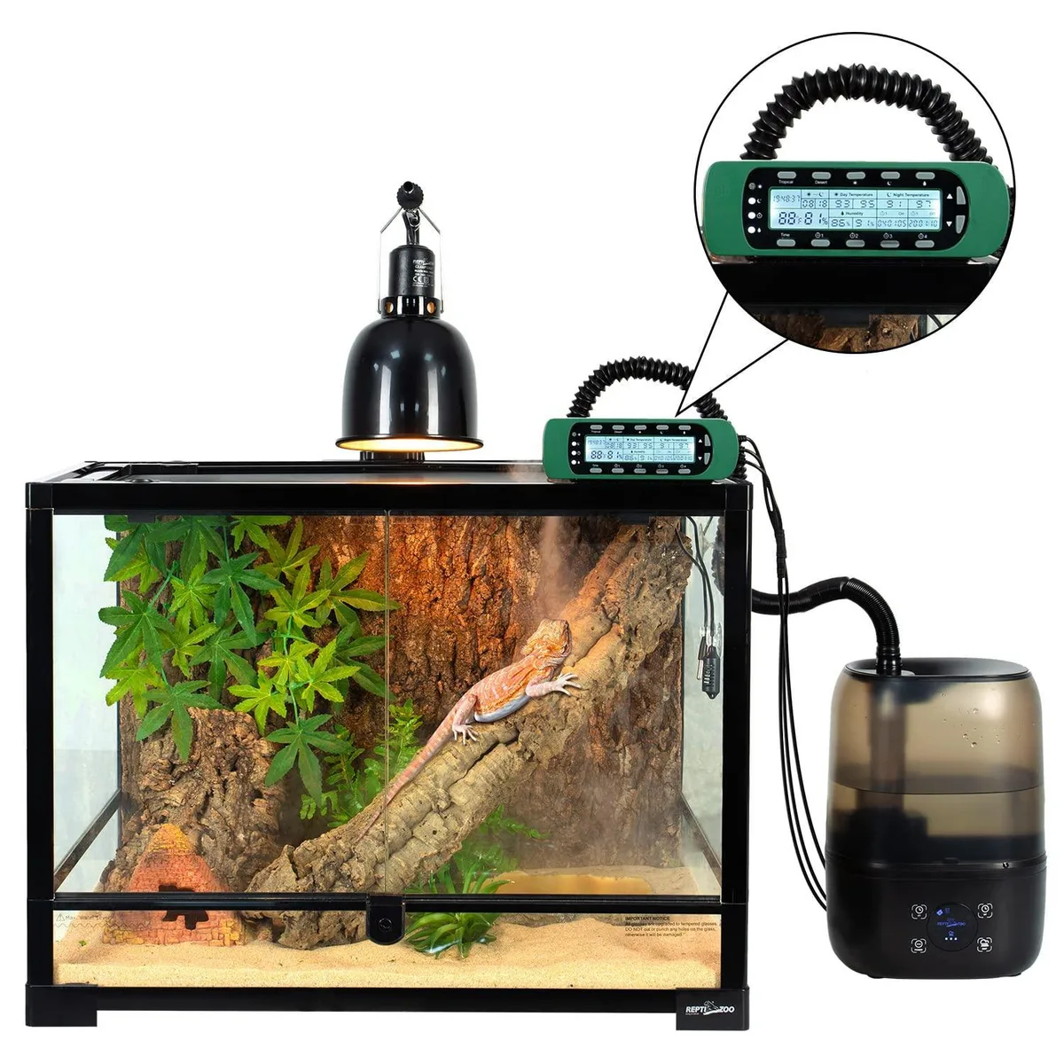 should a reptile enclosure have a hygrometer