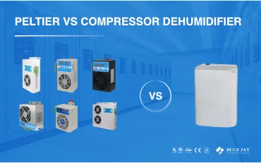 Thermoelectric dehumidifier