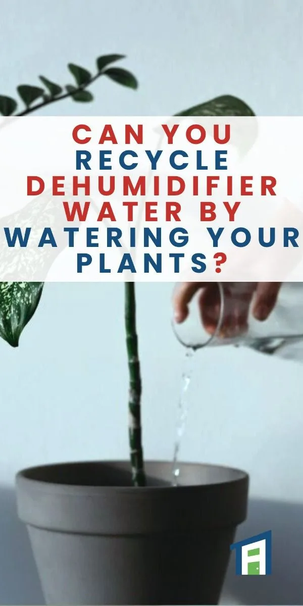 watering indoor plants