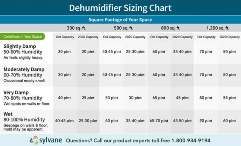 what size dehumidifier do I need for a basement