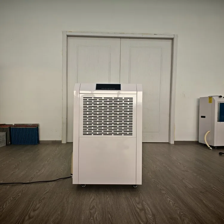 what size dehumidifier do I need for a large room