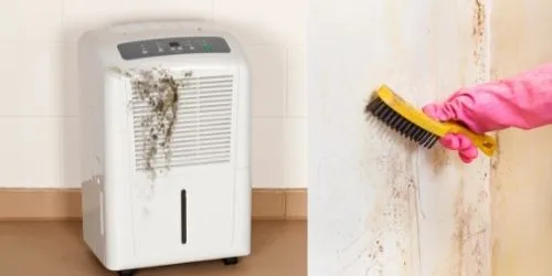 why does my dehumidifier smell like vinegar